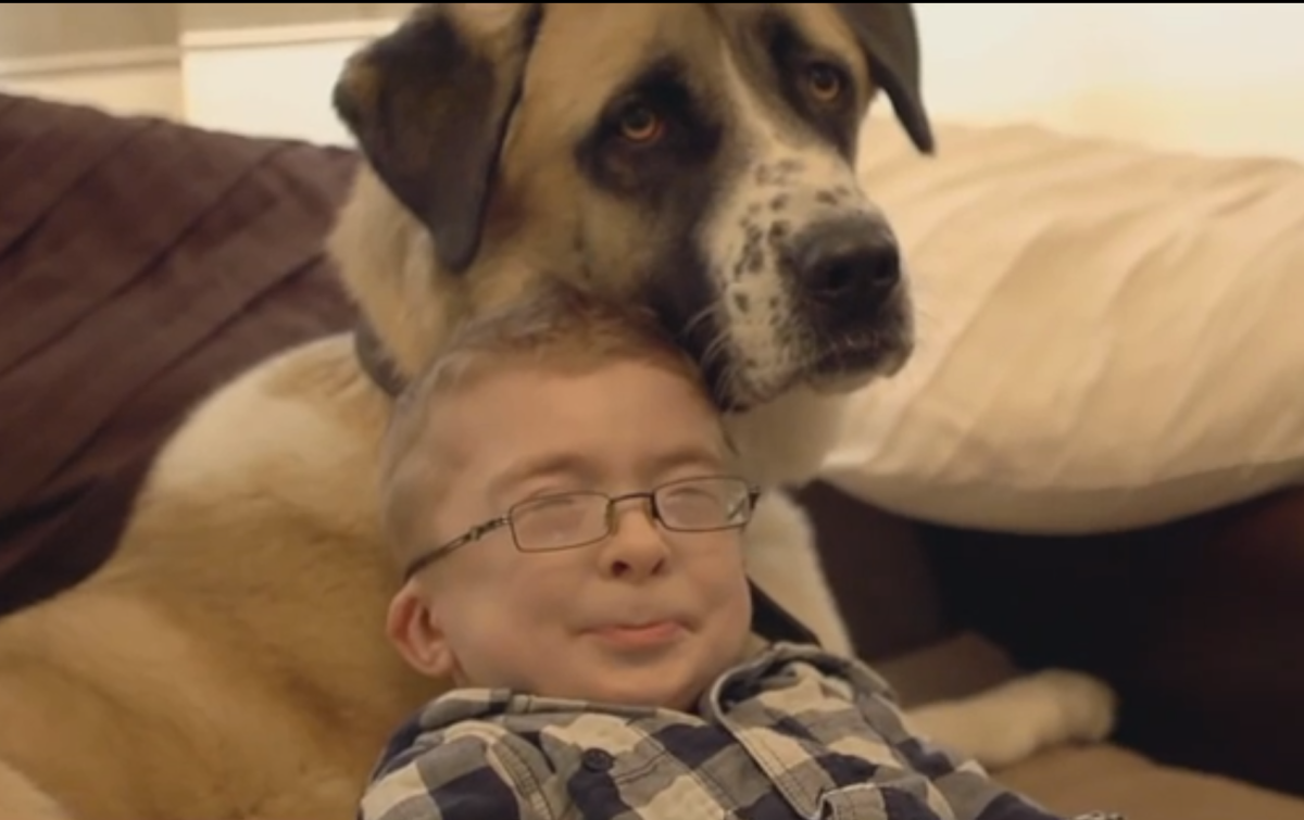 A boy and his Dog. What the Dog doing. A Dog that saved its owner’s Life . Heartwarming story. This is his dog